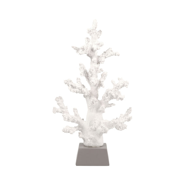 Reefcrest Coral Tree