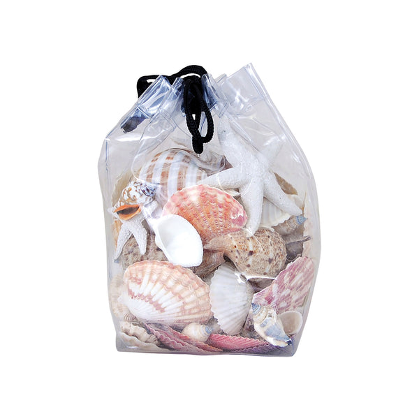 Decorative Shells