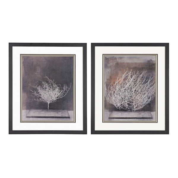 Desert Form - Prints Under Glass