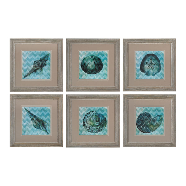 Chevron Shell I, II, III, IV,V,VI -Print Under Glass Wall Art