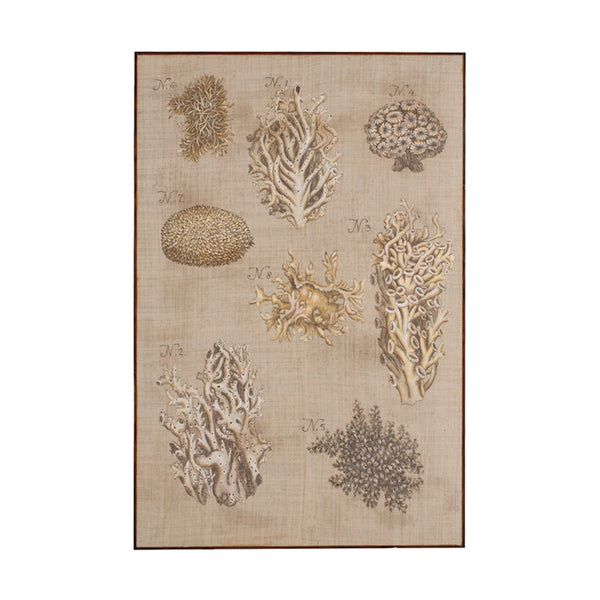 Coral And Sea Urchin