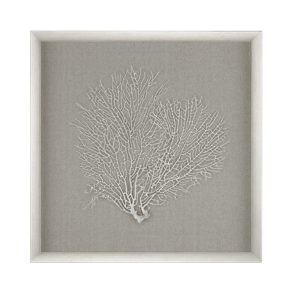 Sea Fan Wall Decor