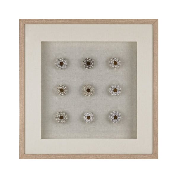 Sea Urchin Wall Decor