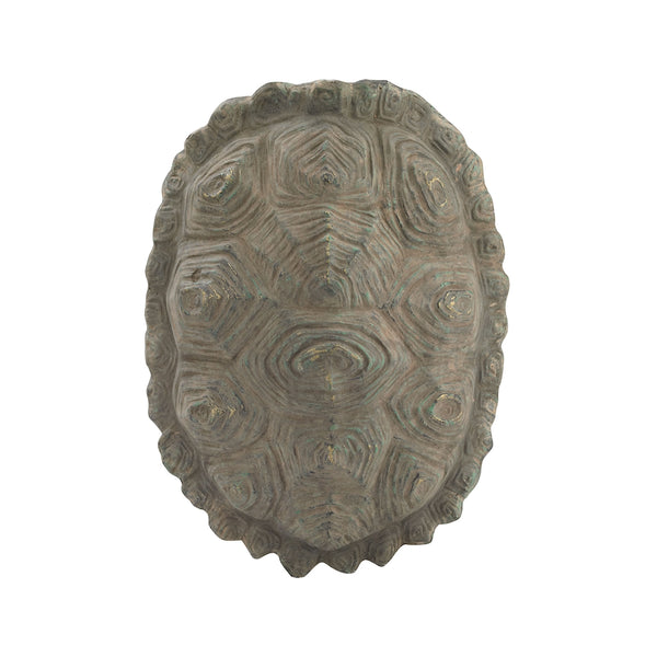 Cretaceous Turtle Shell