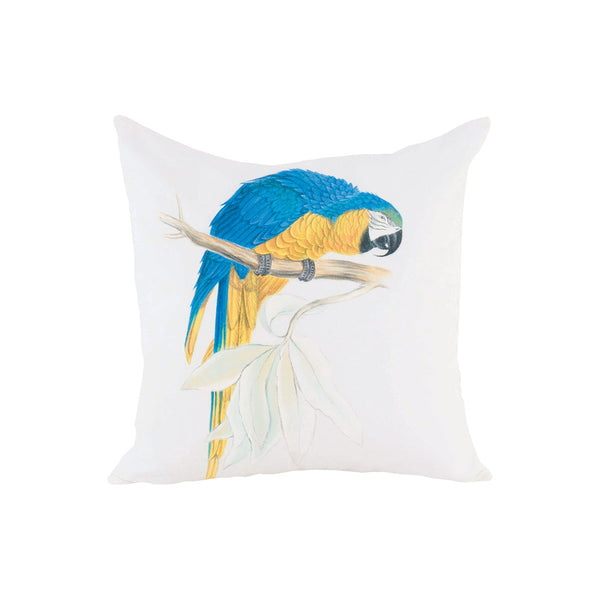 Blue Parrot Macaw Pillow