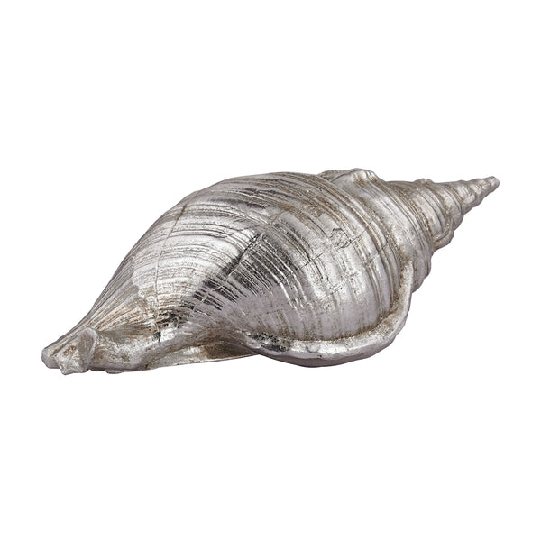 Silver Conch Shell