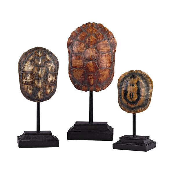 Turtle Shells On Stands - Set of 3