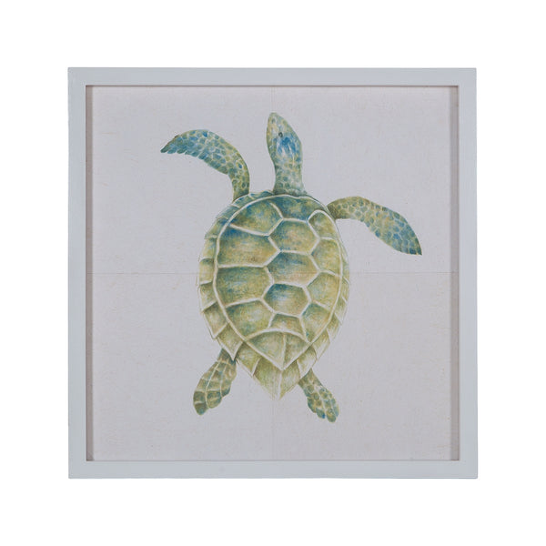 Hand Painted Tortoise