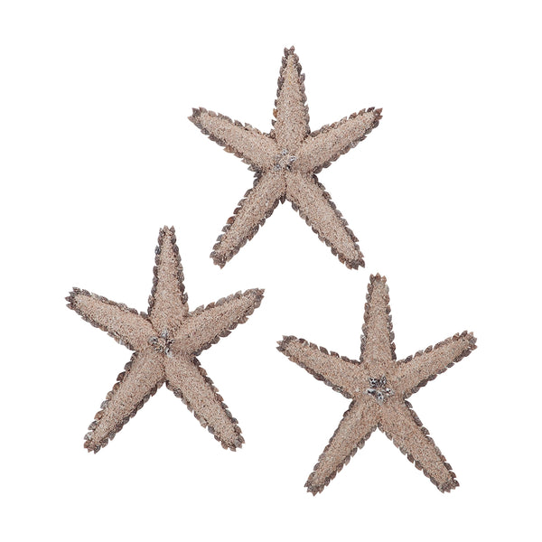 Mixed Shell Star Fish