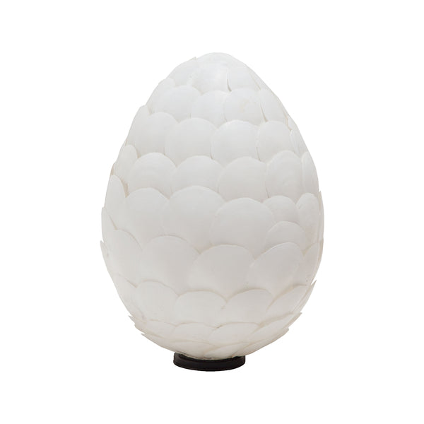 Fan Shell Egg