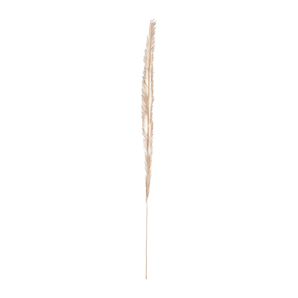 Natural Woven Palm Leaf