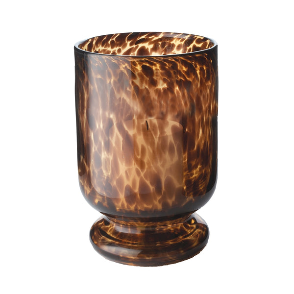 Tortoise Hurricane - Small