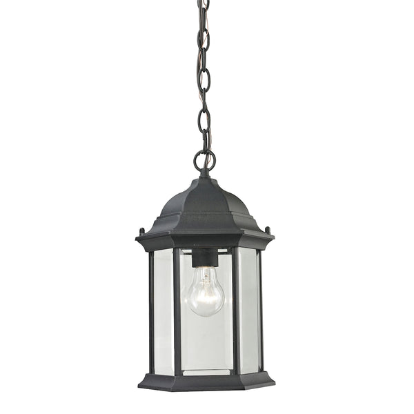 Spring Lake 1 Light Outdoor Pendant In Matte Textured Black