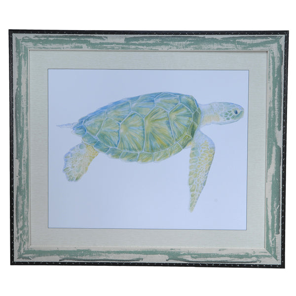 Crestview SEA TURTLE 1 CVA3234