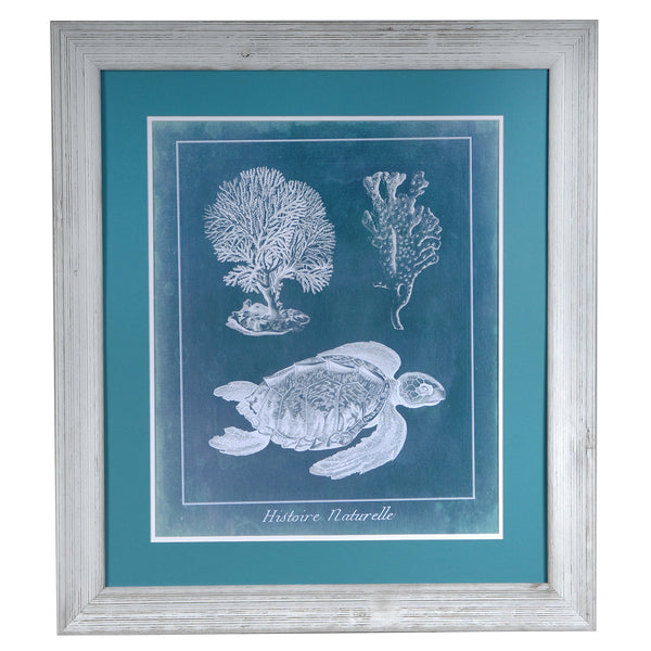 Crestview SEA TURTLE 1 CVA3384