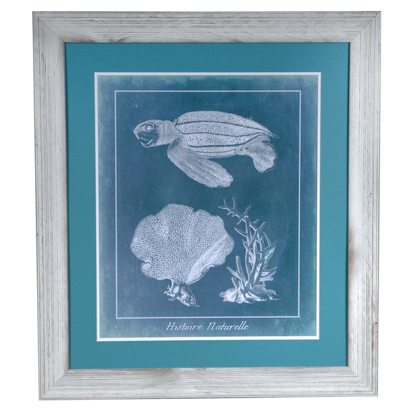 Crestview SEA TURTLE 2 CVA3385