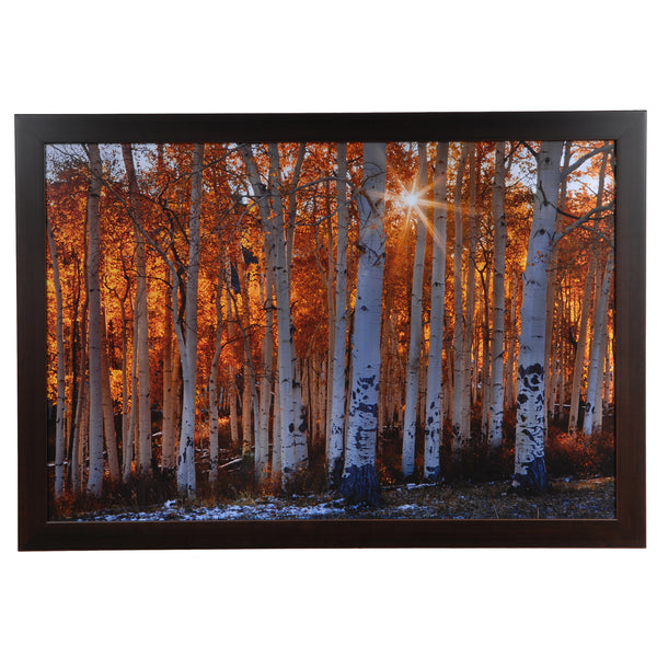 Crestview BURNING OCTOBER CVA3456