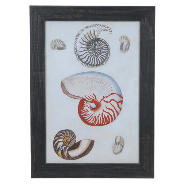 Crestview SEASHORE NOTES 1 CVA3495