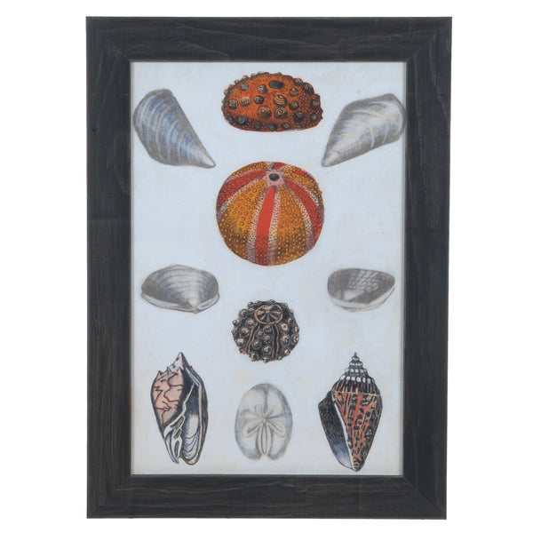 Crestview SEASHORE NOTES 2 CVA3496