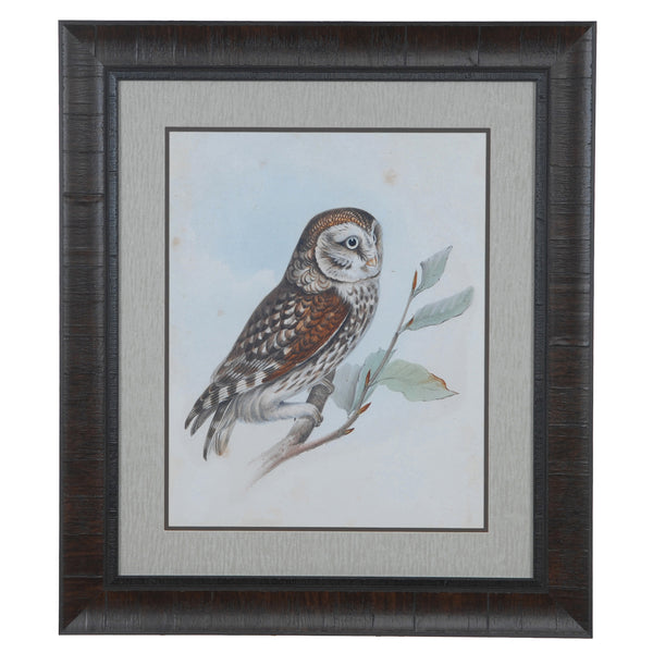 Crestview LITTLE OWL CVA3521