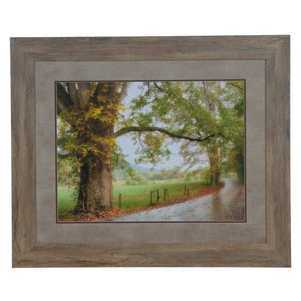 Crestview WET PATH CVA3542