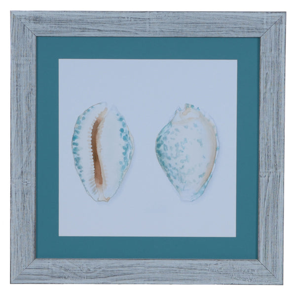 Crestview WATERCOLOR SHELLS 2 CVA3548