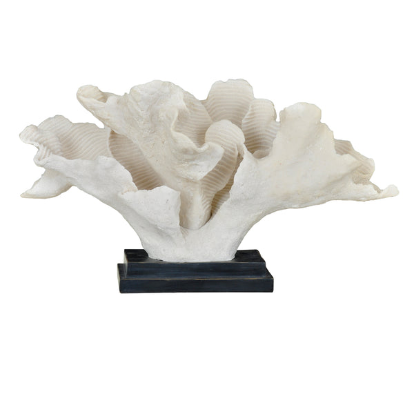 Crestview Fan Coral CVDEP725