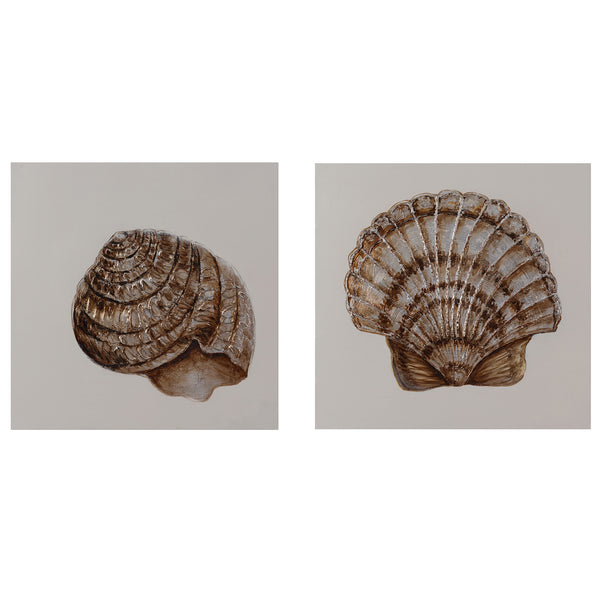 Crestview Shell Time CVTOP2049