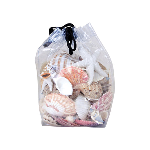Decorative Shells