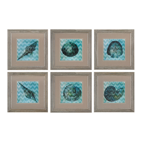 Chevron Shell I, II, III, IV,V,VI  -Print Under Glass Wall Art