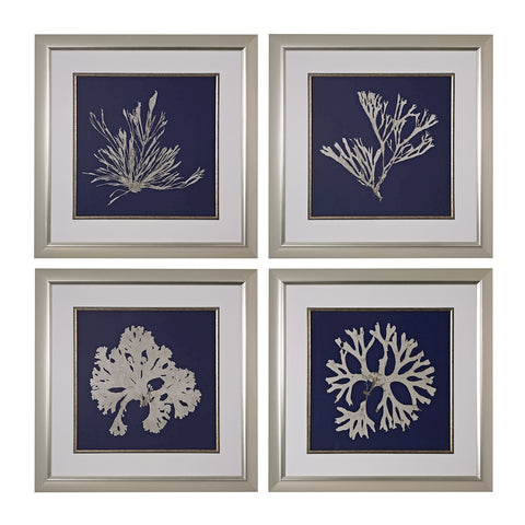 Seaweed On Navy I Through IV - Fine Art Under Glass