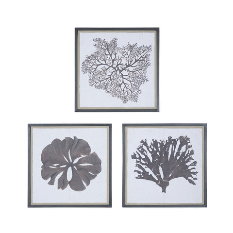 Taupe Corals