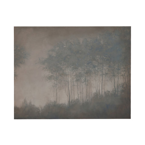 Midnight Fog