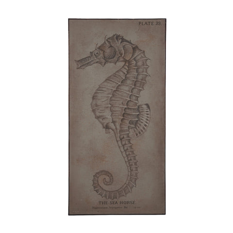 The Sea Horse