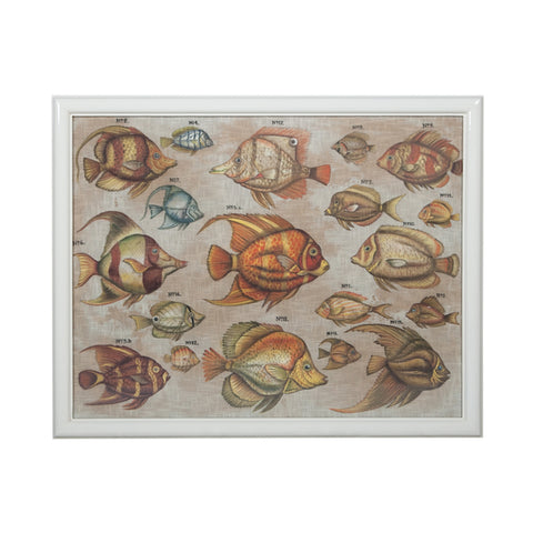 Tropical Fish Study