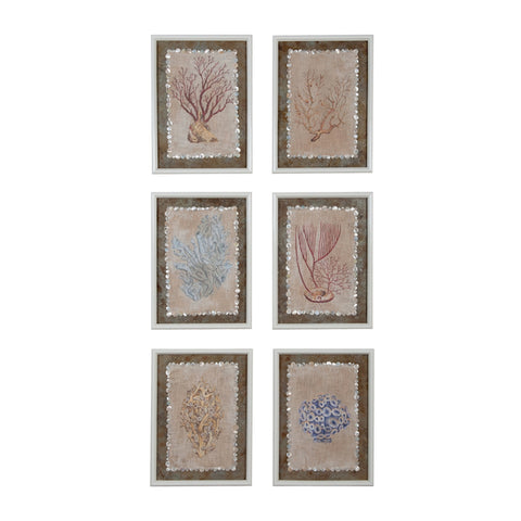 Coral Studies