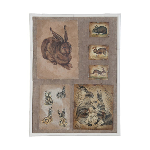 Rabbits And Hares
