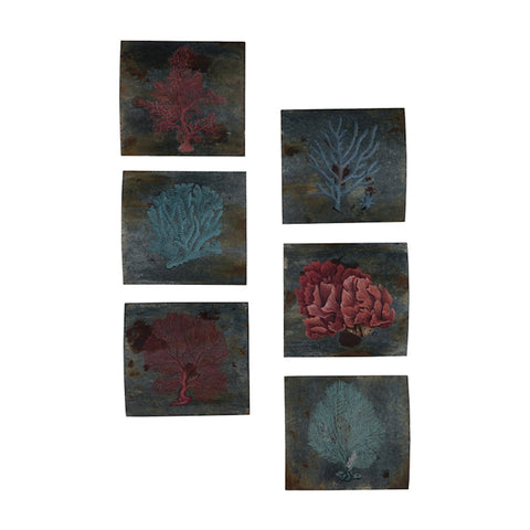 Decorative Sea Coral