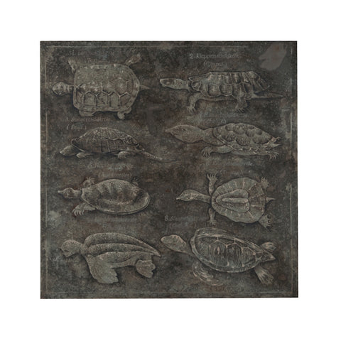 Turtles