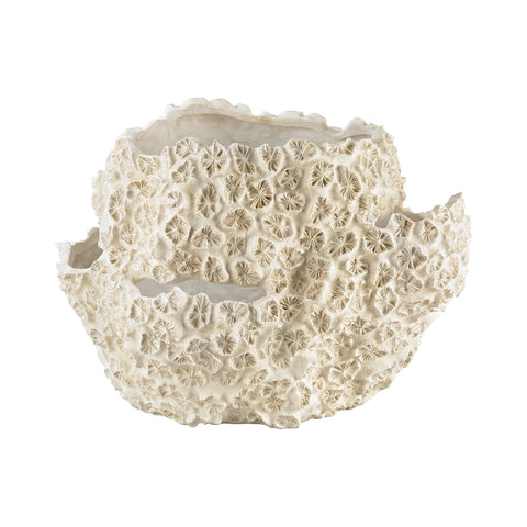 Cretaceous Shell Bowl
