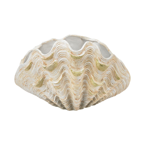 Cretaceous Clam Shell