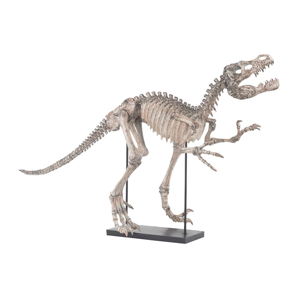 Tyrannos Dinosaur Skeleton