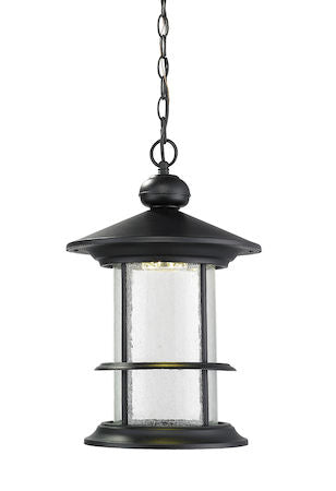 Z-Lite Genesis Outdoor LED Chain Hung Light 552CHB-BK-LED