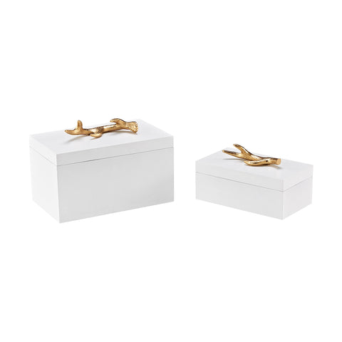 Lophelia Set of 2 Decorative Boxes