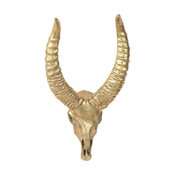 African Gazelle Wall Mounting Skull