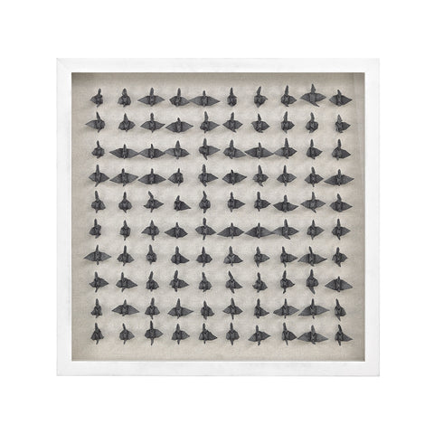 Brolga Shadow Box