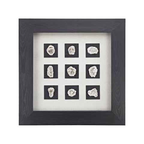 Achates Shadow Box