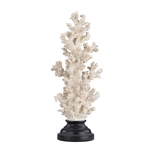 Aged White Coral On Stand - Tall