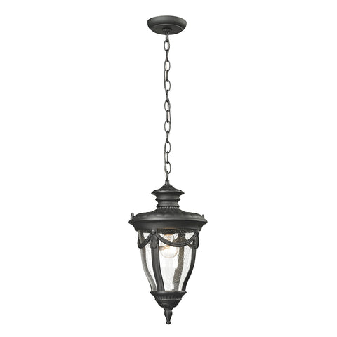Anise 1 Light Outdoor Pendant In Textured Matte Black