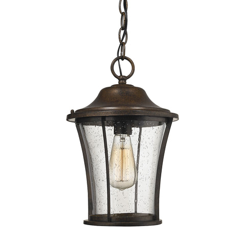 Morganview 1 Light Outdoor Pendant In Hazelnut Bronze